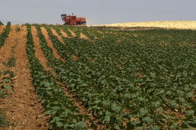 Most farmers in India don’t have access to technology-driven irrigation tools and practices. (Representational photo/Reuters)