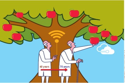 National Pension Scheme, PFRDA, NPS contributions, SBI ePay, BillDesk, pension fund, NPS account National Pension Scheme, PFRDA, NPS contributions, SBI ePay, BillDesk, pension fund, NPS account