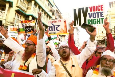 The Fate of Butterflies, The Fate of Butterflies bok review, Nayantara Sahgal The Fate of Butterflies
