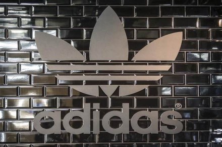 Adidas, Adidas india, Adidas india head dave thomas, Reebok, Adidas group