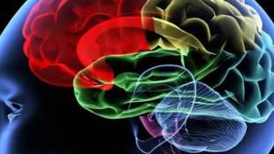 Smoking, high blood pressure, Smoking demerits, diabetes, obesity, unhealthy brain, Alzheimer disease, blood vessels
