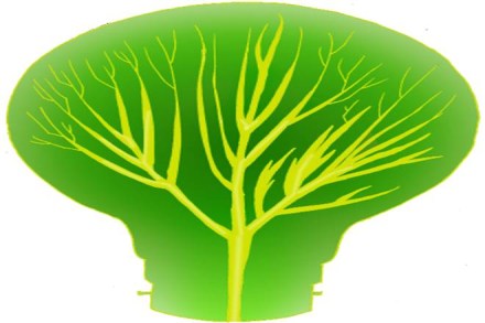 The reasons for this slow pace are many, and country-specific. The reasons for this slow pace are many, and country-specific.