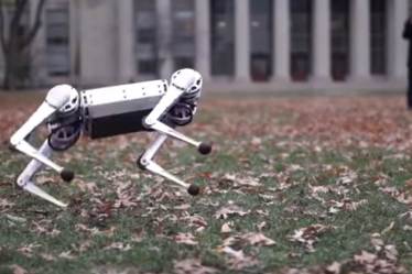 robot, dog robot, robot apocalypse, MIT, robotics, MIT robots, dog toy, cheetah robot, cheetah cub robot, how to do backflips, Boston Dynamics, Atlas robot, Boston Dynamics Atlas robot, mini cheetah video, cheetah video, robotics, robotics video, artificial intelligence