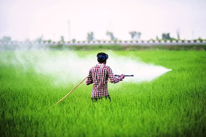 agriculture, agriculture sector, agriculture industry, enam