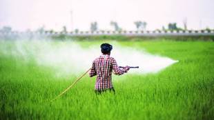 agriculture, agriculture sector, agriculture industry, enam