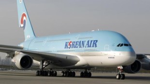 Korean air, Korean air peanut allergy, peanut allergy plane food, airline allergy policy