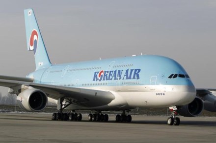 Korean air, Korean air peanut allergy, peanut allergy plane food, airline allergy policy
