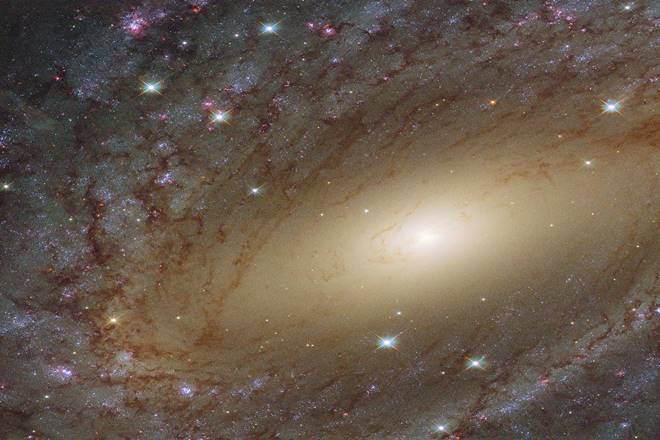 Galactic Zoo, Aliens, NASA, Great Silence, Humans in Galactic Zoo, Galactic Zoo aliens, METI International , Messaging Extraterrestrial Intelligence , Astrophysics , galactic quarantine, galaxy Milky Way, zoo hypothesis, exoplanet
