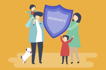 In India, pet insurance is available for dogs, cats, birds, sheep, goats, horses, rabbits, elephants etc.