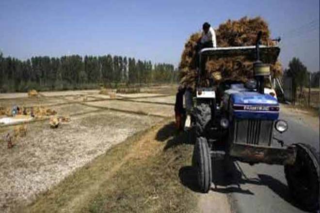 agriculture, agriculture sector