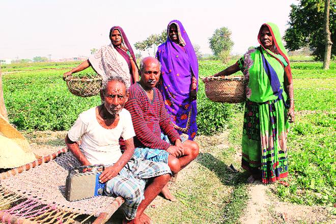 There are multiple definitions on poverty from academicians, economists, governmental and international agencies. There are multiple definitions on poverty from academicians, economists, governmental and international agencies.