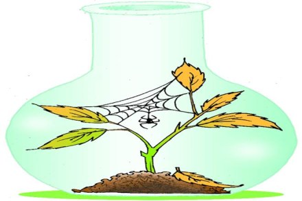 Illustration: Rohnit Phore Illustration: Rohnit Phore