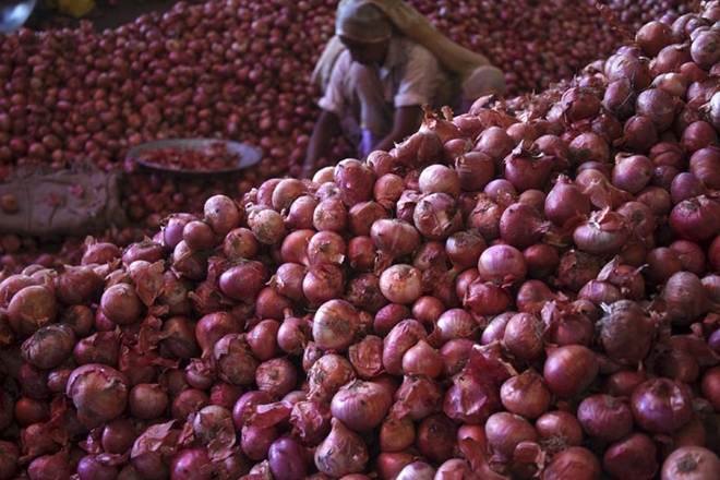 Nafed begins procurement of onion from Lasalgaon Nafed begins procurement of onion from Lasalgaon