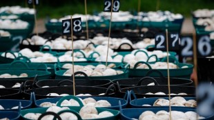 India’s commodity sector has, likewise, benefitted from bank finance