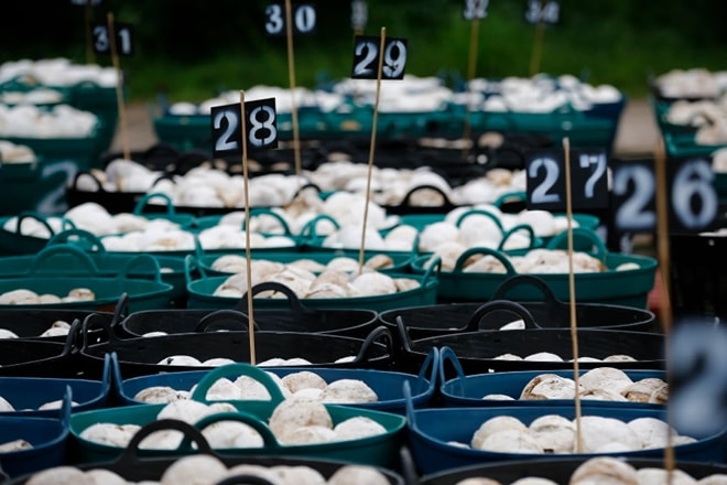 India’s commodity sector has, likewise, benefitted from bank finance India’s commodity sector has, likewise, benefitted from bank finance