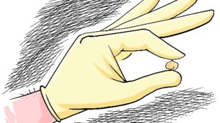 The chickpea varieties cultivated in northern India thrived in cold winters and matured in about 150 days. (Illustration: rohnit phore)