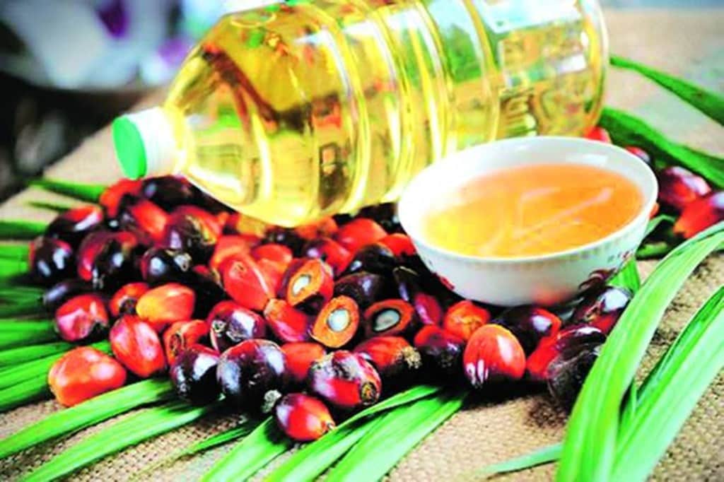 Edible oil, soya oil crude palm oil, anuj gupta, angel broking, sea, soyabeen, sopa, एडिबल ऑयल, खाने का तेल, import of soya oil, import of crude palm oil, rapeseed,