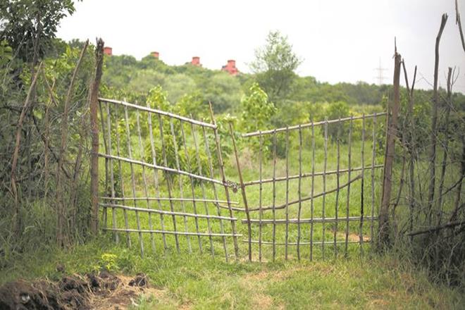 biodiversity park, delhi park, game changer, rivers in India, travel tourism news, lifestyle news biodiversity park, delhi park, game changer, rivers in India, travel tourism news, lifestyle news