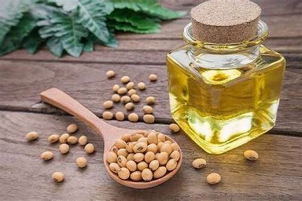 government asks nepal to stop illegal duty free import of soyabean and palm oil