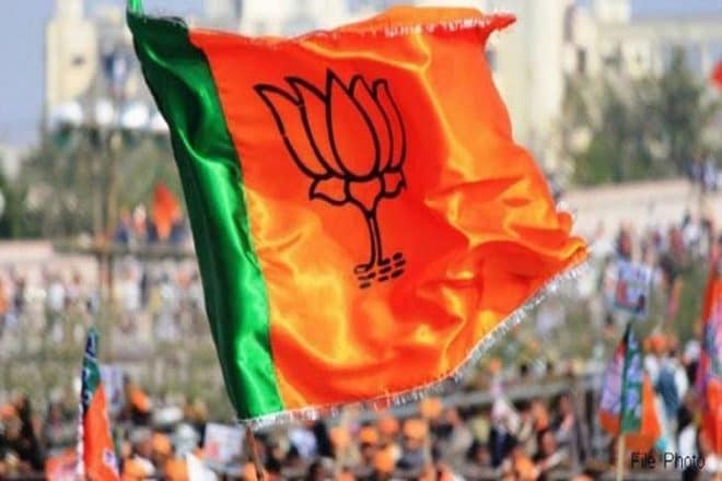 BJP manifesto; promises for ram temple, article 370, article 35a, triple talaq and sabarimala