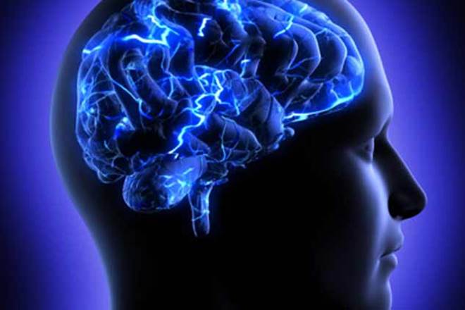 Science, Science fictions, Human brains, Human brains cells, cloud-computing networks, health news