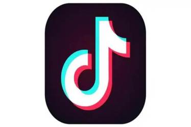  Bytedance, which also offers platforms like Helo and Vigo Video in India, also plans to increase the number of employees in India to 1,000 persons by the end of this year and about 25 per cent of these roles will be in content moderation.