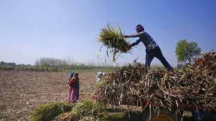 data, data is new oil, agri data, Historical data sets, primary data, PM KISAN, APMC, macro crop indicators, monitoring