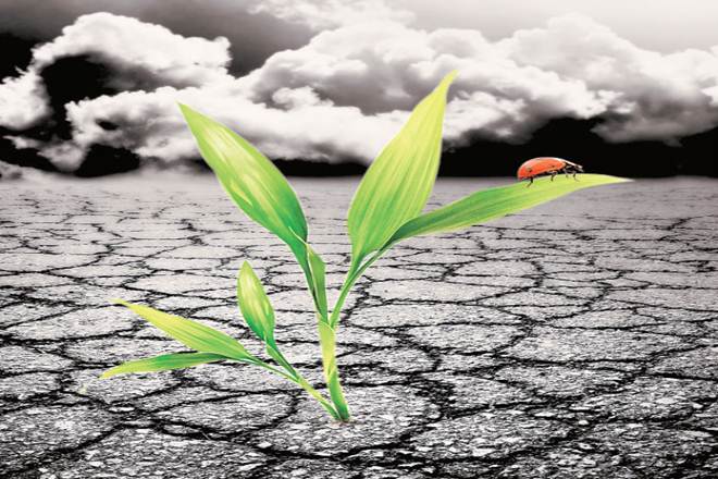 climate change, global warming, earth, environmental calamities , Industrial Revolution, International Energy Agency, food wastage, Sustainable Development Goals  climate change, global warming, earth, environmental calamities , Industrial Revolution, International Energy Agency, food wastage, Sustainable Development Goals