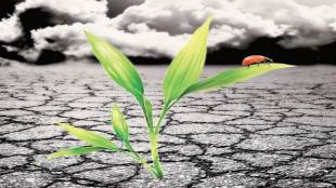 climate change, global warming, earth, environmental calamities , Industrial Revolution, International Energy Agency, food wastage, Sustainable Development Goals