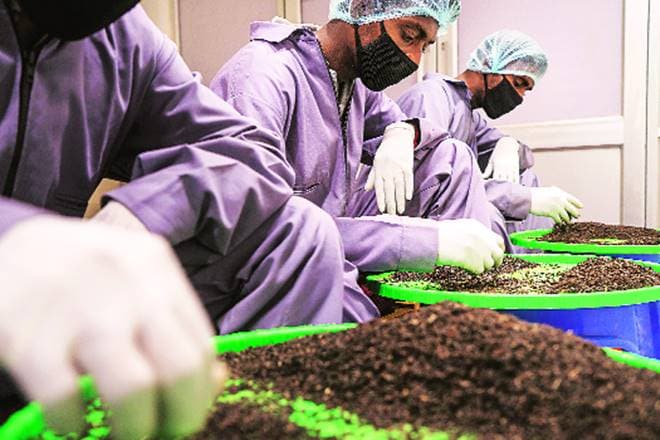 India is eyeing to export 15 MT of tea to China this year, while demand is coming from Iran and Indonesia. Around 30 MT of Orthodox tea was exported to Iran last year, Goenka said, adding the 786 gram per capita consumption in India has to go up.