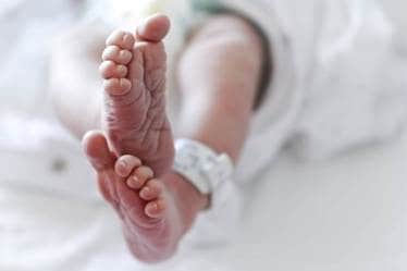 stem cell research, stem cell definition, stem cell articles, stem cell research pros and cons, stem cell research facts, stem cell research controversy, benefits of stem cell research
