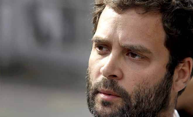 BJP, Rahul Gandhi, Rahul Gandhi citizenship, Rahul Gandhi nomination papers, Congress President, lok Sabah elections 2019