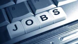 jobs, job sector, job industry, economy