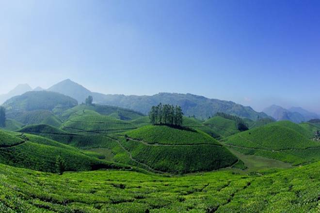 The 'enchanting Munnar' tour package covers Chennai, Cochin and Munnar by Chennai Alleppey Express train. (image: Kerala Tourism)