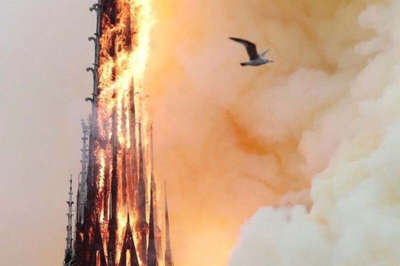 notre dame paris, notre dame, notre dame france, notre dame cathedral fire, notre dame meaning, notre dame school, notre dame cathedral history, notre dame paris fire cause, notre dame pronounce, notre dame pics, notre dame photos, notre dame burning,