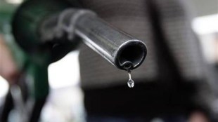 Petrol And Diesel Prices, Crude, Petrol, Diesel, क्रूड, पेट्रोल, डीजल, OPEC, IEA, Crude Production, Crude Supply, General Election India