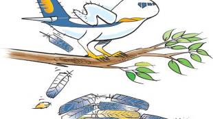 Jet Airways was in debt in excess of Rs 8,500 crore to Indian banks (ILLUSTRATION: ROHNIT PHORE)