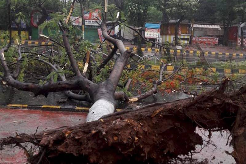 cyclone fani, cyclone fani landfall, cyclone warning, cyclone in india, cyclone in bay of bengal, cyclone fani path, fani cyclone, fani meaning, fani cyclone wiki, fani cyclone video, fani cyclone path, fani cyclone update live, fani cyclone map, fani live updates, fani cyclone kolkata, cyclone fani kolkata, cyclone in kolkata, cyclone fani tracker, cyclone fani status, cyclone fani west bengal, cyclone fani live map, cyclone fani live video, live update on cyclone fani, recent news on cyclone fani, otv news today live cyclone, fani live updates, latest on cyclone fani, cyclone fani live news, cyclone fani update in odisha today, latest news on fani