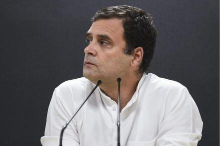 Congress, Rahul Gandhi, Lok Sabha Election Defeat, Congress Working Committee