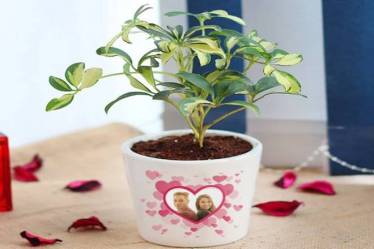 Personalized gifts, online gifting market in India, FlowerAura.com, Himanshu Chawla, personal gifts, customizable gifts