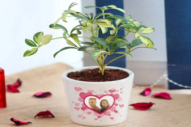 Personalized gifts, online gifting market in India, FlowerAura.com, Himanshu Chawla, personal gifts, customizable gifts