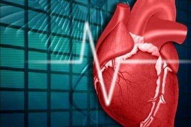 ventricular fibrillation treatment. ventricular fibrillation symptoms, ventricular fibrillation causes, ventricular fibrillation pathophysiology, ventricular fibrillation treatment acls, heart fibrillation, heart block, heart attack, heart attack treatment, coronary heart disease