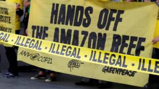 Scientists, species, extinction, action needed, science news update