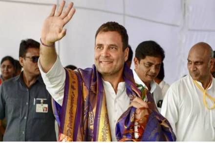wayanad election result, wayanad result, rahul gandhi, wayanad lok sabha election 2019