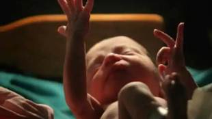 low birth weight,  global nutrition, neonatal health, neonatal health programmes, World Health Assembly