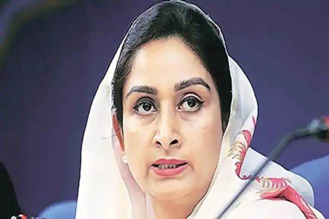 Lok Sabha polls, Harsimrat Kaur Badal, Lok Sabha polls in punjab, narendra modi, Congress general secretary, Priyanka Gandhi Vadra, Amarinder Singh, Priyanka Gandhi, lok sabha elections 2019, Bathinda
