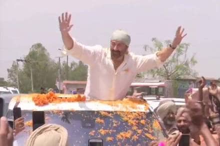 Gurdaspur election result live, gurdaspur result live, sunny deol