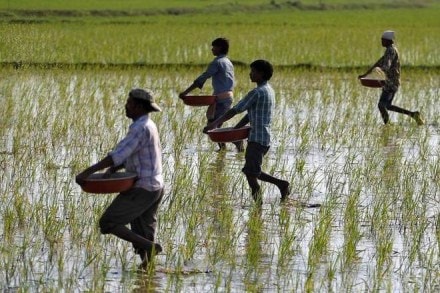 Indian farmers, farmers in india, Uplifting the poor, sexual harassment, metoo, film industry, opinion news Indian farmers, farmers in india, Uplifting the poor, sexual harassment, metoo, film industry, opinion news