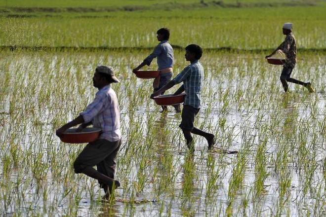 Indian farmers, farmers in india, Uplifting the poor, sexual harassment, metoo, film industry, opinion news