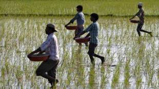 Indian farmers, farmers in india, Uplifting the poor, sexual harassment, metoo, film industry, opinion news